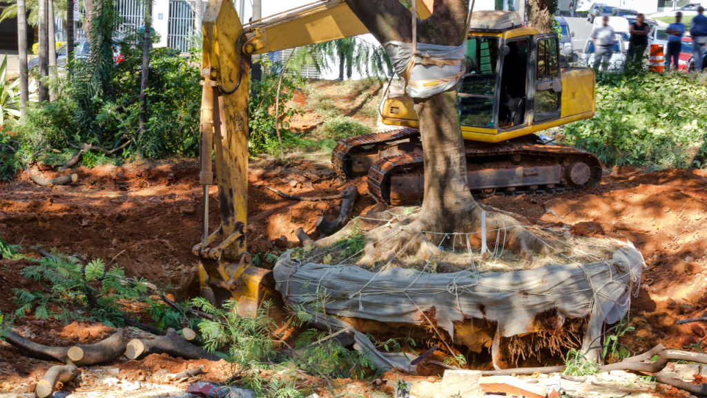 Tree removal Sydney