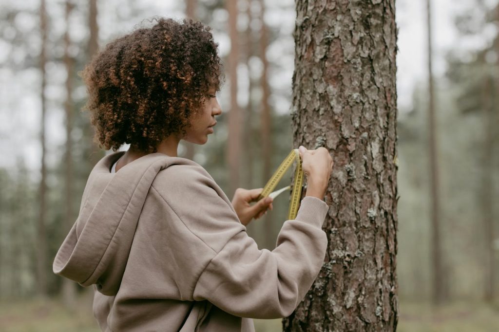 Woman measuring the diameter of a tree in a forest.