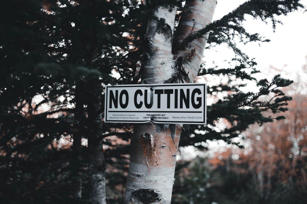 A no cutting sign attached to a tree in a forest.