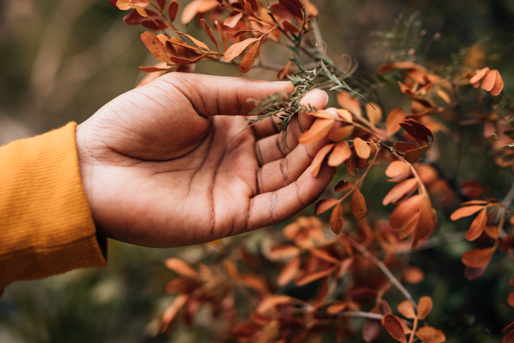 G McColl Tree Services | Tree Removal, Pruning & Tree Work Services Sydney G McColl Tree Services | Tree Removal, Pruning & Tree Work Services Sydney Close Up Male Hiker Hand