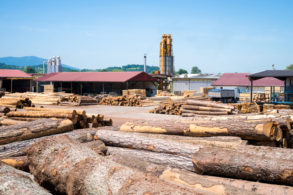 G McColl Tree Services | Tree Removal, Pruning & Tree Work Services Sydney G McColl Tree Services | Tree Removal, Pruning & Tree Work Services Sydney View Of Industrial Sawmill